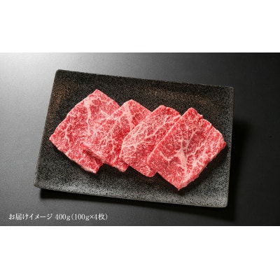 飛騨牛 赤身(モモ)ステーキ 100g×4枚 真空パック 飛騨高山ミート MZ026