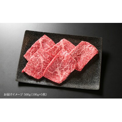 飛騨牛 赤身(モモ)ステーキ 500g(100g×5枚) 真空パック 飛騨高山ミート MZ027
