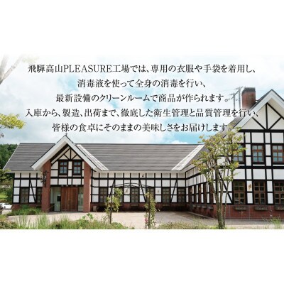 飛騨牛 赤身(モモ)ステーキ 500g(100g×5枚) 真空パック 飛騨高山ミート MZ027