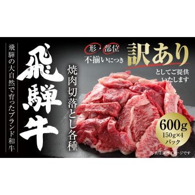 訳あり飛騨牛 焼肉 切落とし600g(150g×4P)使い勝手の良い小分け冷凍真空パック MZ014