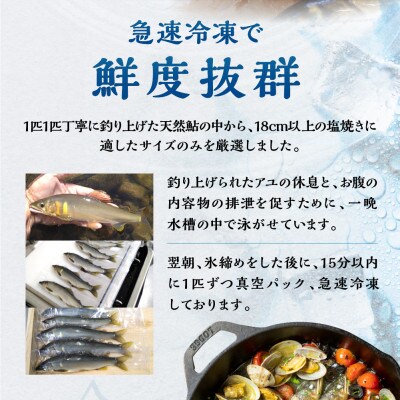 白川村産 飛騨庄川の天然鮎 5尾 [S509]