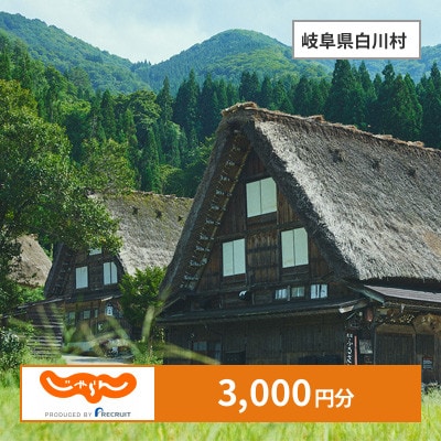 【じゃらんふるさと納税クーポン】 岐阜県白川村でつかえる3,000円 クーポン