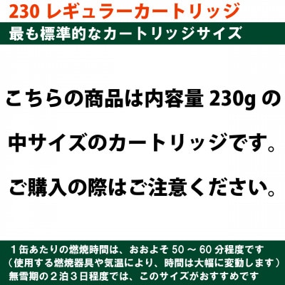 EPIgas 230レギュラーカートリッジ【2個入り】