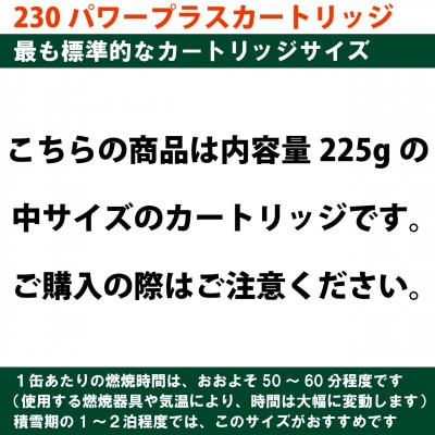 EPIgas 230パワープラスカートリッジ【2個入り】