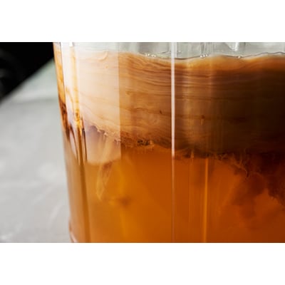 _SHIP KOMBUCHA HOP BREEZE ホップ ブリーズ(300ml×12本セット)