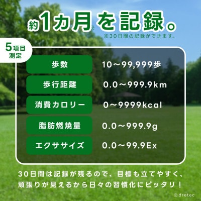 ドリテック 歩数計 「デイリーパートナー」 ホワイト 脂肪燃焼量 メモリー機能 H-235WT