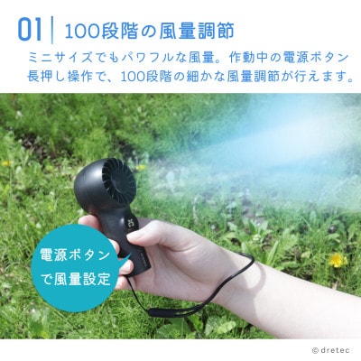 ドリテック てのひらハンディファン(クリップ付)ブラック FN-209BK