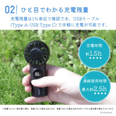 ドリテック てのひらハンディファン(クリップ付)ブラック FN-209BK