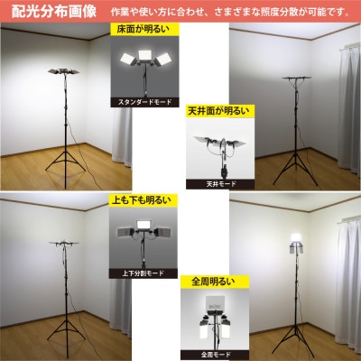DC12 COB　フレキヘッド3灯式スタンドライト　クマデ　ソフトバックセット　DCC020-SB