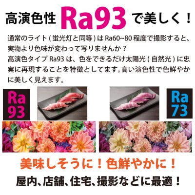 DC12 COB　クリップパネルライト　フレキシブルブラック　Ra93　DCC001-FKC