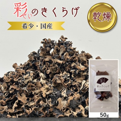 彩のきくらげ　乾燥きくらげ50g　埼玉県産