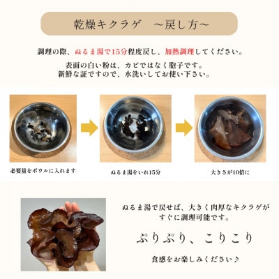 彩のきくらげ　乾燥きくらげ100g　埼玉県産
