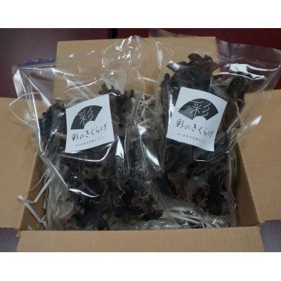 彩のきくらげ　乾燥きくらげ100g　埼玉県産