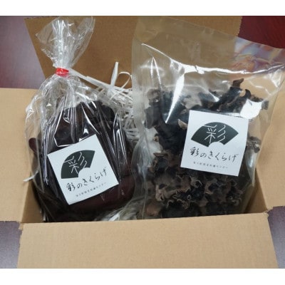 彩のきくらげ　生きくらげ500g　乾燥きくらげ50g　セット　埼玉県産