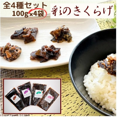 彩のきくらげ　めんたい味、梅しそ味、佃煮味、ペペロンチーノ味　4種類セット(100g×4パック)