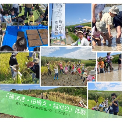 令和7年産 埼玉県産 彩のきずな 精米 (5kg×1袋)埼玉のお米