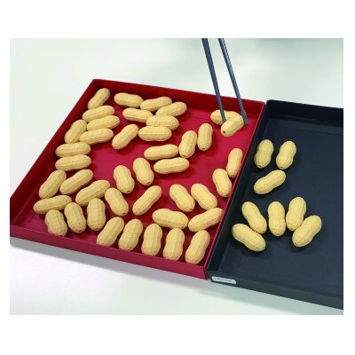 遊び方は無限大!お箸を使ったゲーム「箸タイム」