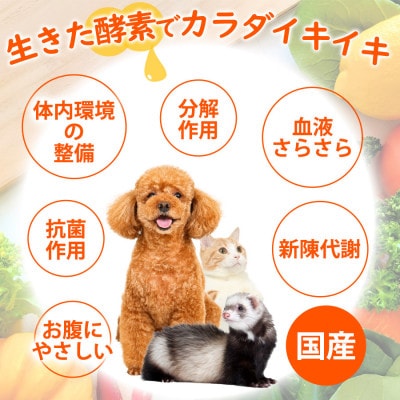 ペット用酵素飲料 ヘルスチャージD 50ml×5本