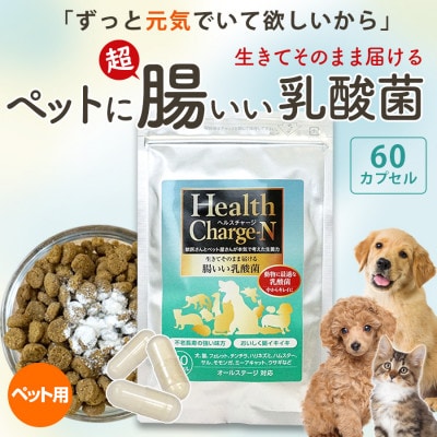 ペット用乳酸菌サプリ ヘルスチャージN 60カプセル