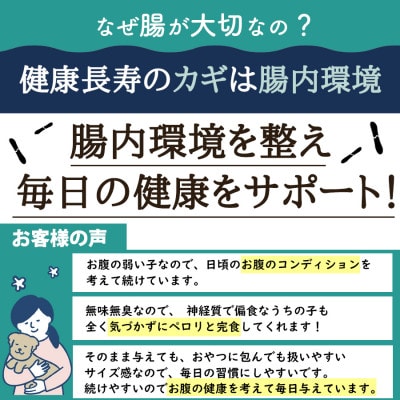 ペット用乳酸菌サプリ ヘルスチャージN 60カプセル