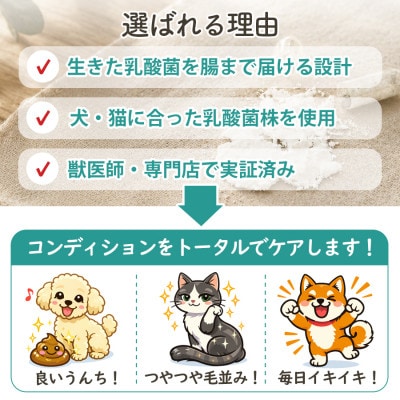 ペット用乳酸菌サプリ ヘルスチャージN 60カプセル
