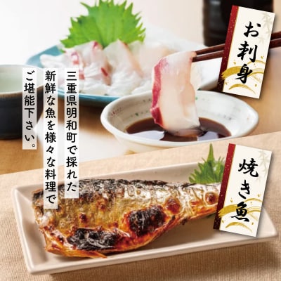 伊勢湾産 海産物 セット K5