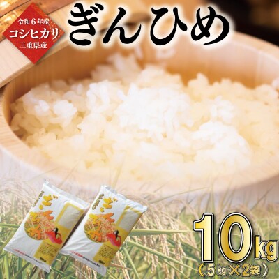 令和6年産 キヌヒカリ 新米 白米 20 キロ 淡路島産 20kg 食品