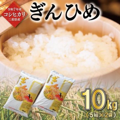 三重県産 コシヒカリ ぎんひめ 精米 5kg×2袋 (合計 10kg)