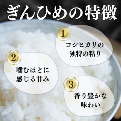 三重県産 コシヒカリ ぎんひめ 精米 5kg×2袋 (合計 10kg)
