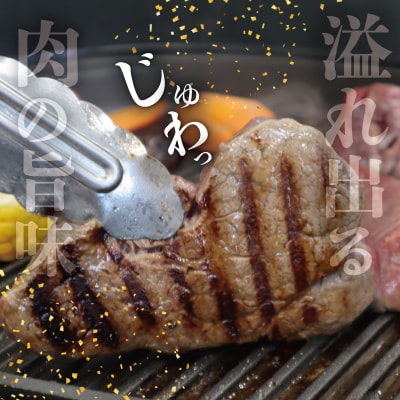 松阪牛 ヒレステーキ 600g ( 4枚 ) E2