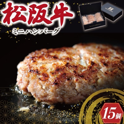 松阪牛入 ミニ ハンバーグ セット 50g × 15個 SS127