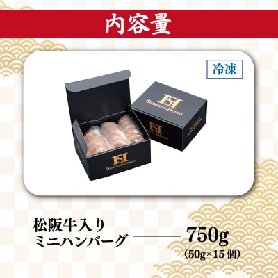 松阪牛入 ミニ ハンバーグ セット 50g × 15個 SS127