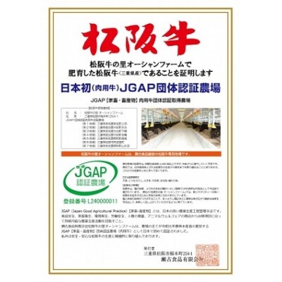 松阪牛特選サーロインステーキ 200g×4枚