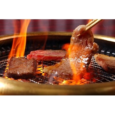 松阪牛焼肉(特選赤身)500g