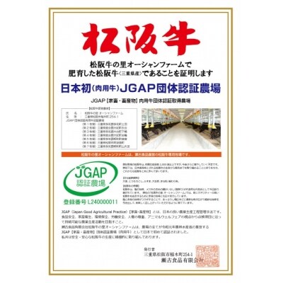 松阪牛焼肉(特選赤身)500g