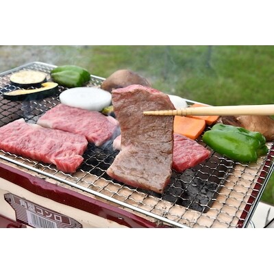 多気郡産 松阪牛ロース焼肉用 500g