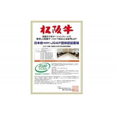 家庭用松阪牛小間切れ200g×4P