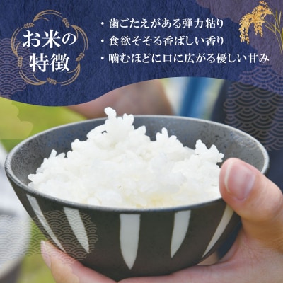下村農園オリジナルブランド米「三重県産斎王米」3kg　SN1