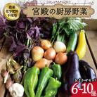 宮殿の厨房 野菜 おまかせ セット 六月農園 N5