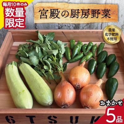 宮殿の厨房野菜おまかせ5品　セット