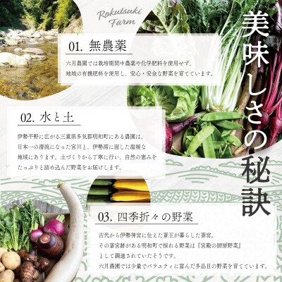 宮殿の厨房野菜おまかせ5品　セット