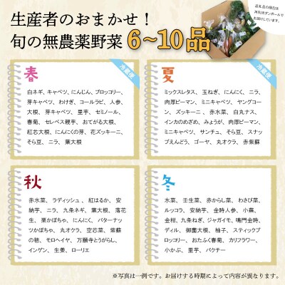 宮殿の厨房 野菜 おまかせ セット 六月農園 N5