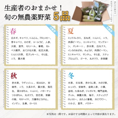 宮殿の厨房野菜おまかせ5品　セット