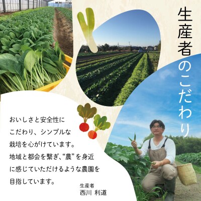 宮殿の厨房野菜おまかせ5品　セット