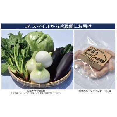 松阪牛づくしバーベキューセット(4人前) E2365