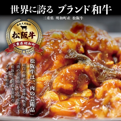 松阪牛 味付 ホルモン ミックス 300g×3P　SS104