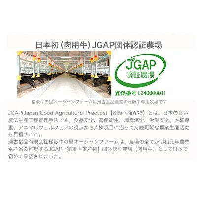 松阪牛カイノミハーフステーキ