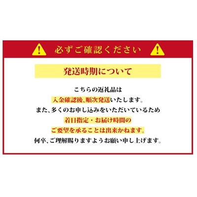 松阪牛カイノミハーフステーキ