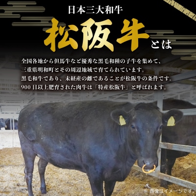 松阪牛 骨付き トロカルビ 200g×2 J29