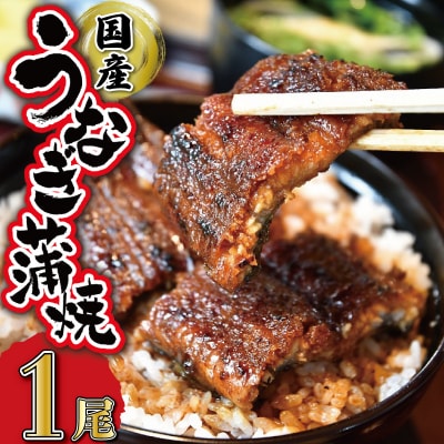 うなぎのかば焼き 1尾入り (タレ2本入り)	